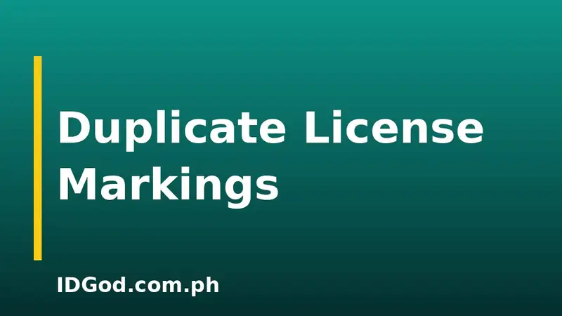 What Duplicate and Reissue Markings Mean on a License