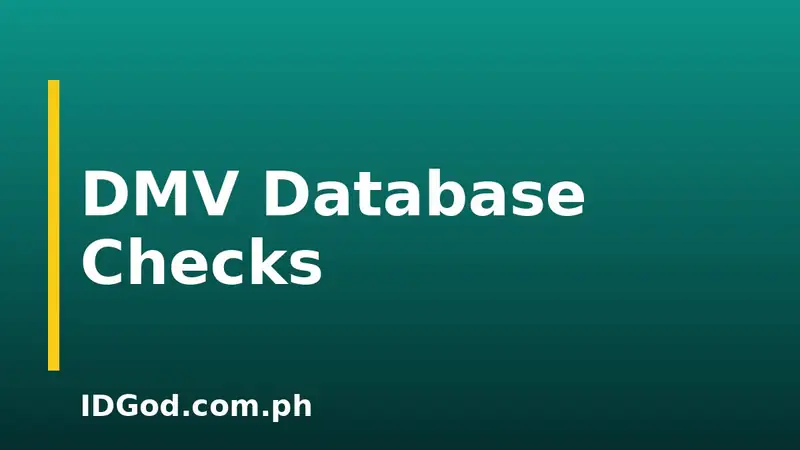 How DMV Databases Verify a New License Application