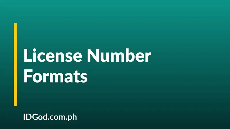 How to Read a Driver's License Number, State by State