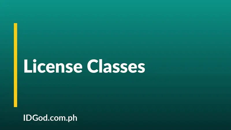 What the Driver's License Classes Mean (A, B, C, D, M)