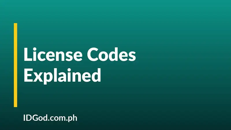 What the Codes and Restrictions on a Driver's License Mean