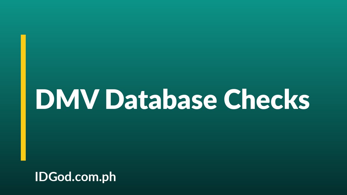 How DMV Databases Verify a New License Application
