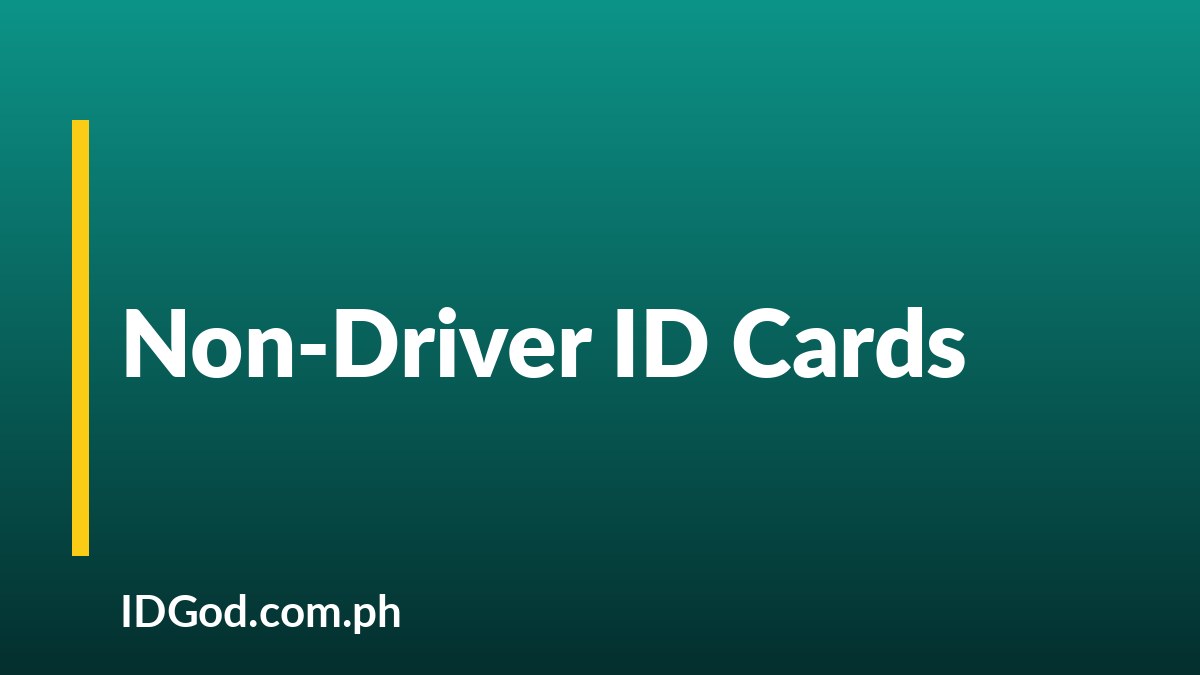 What a Non-Driver State ID Card Is and How It Differs