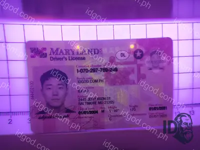 Hologram detail of IDGod Maryland Fake ID Fake ID