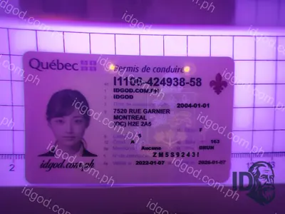 Hologram detail of IDGod Quebec Canada Fake ID