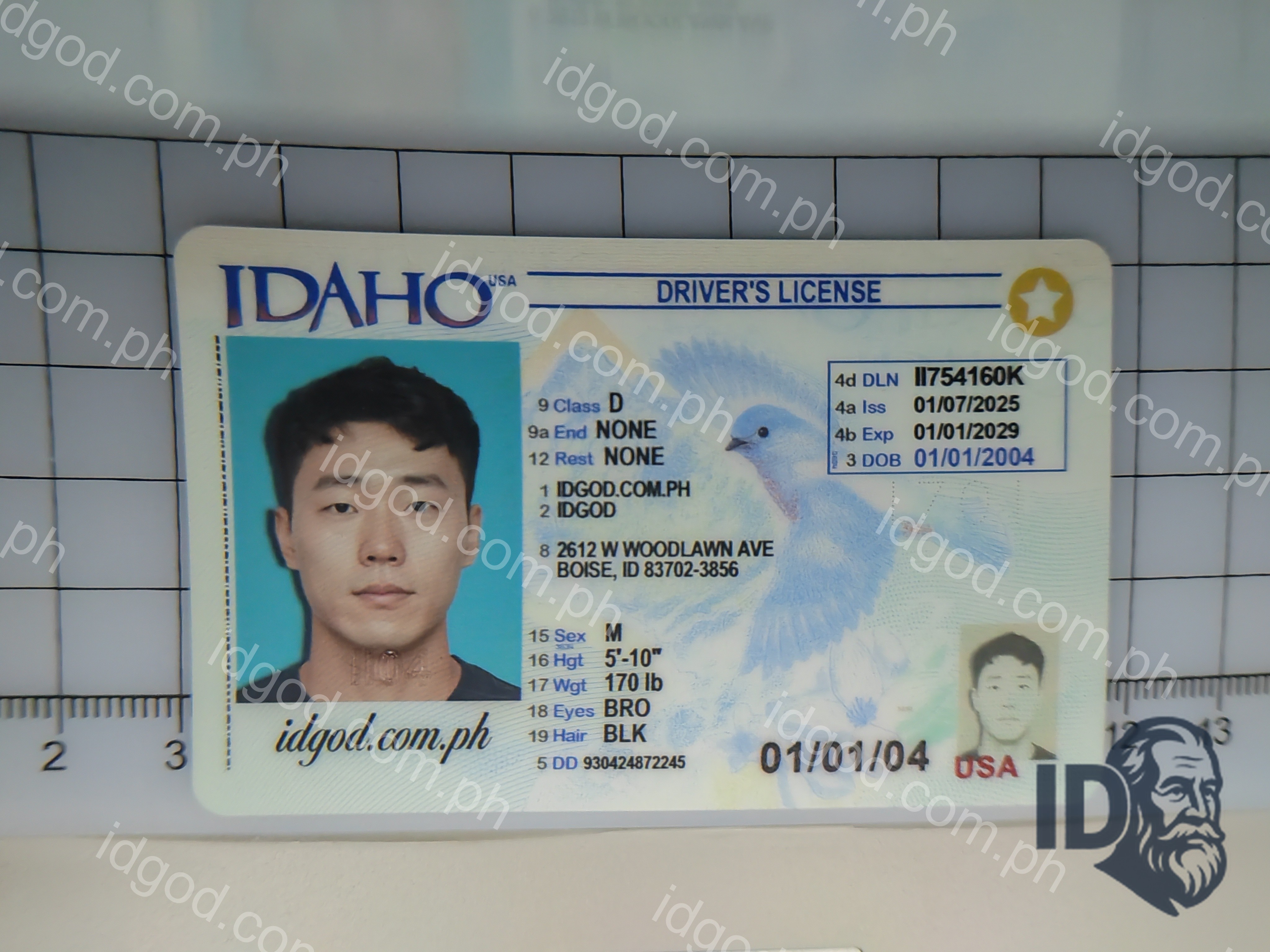 Idaho Fake ID