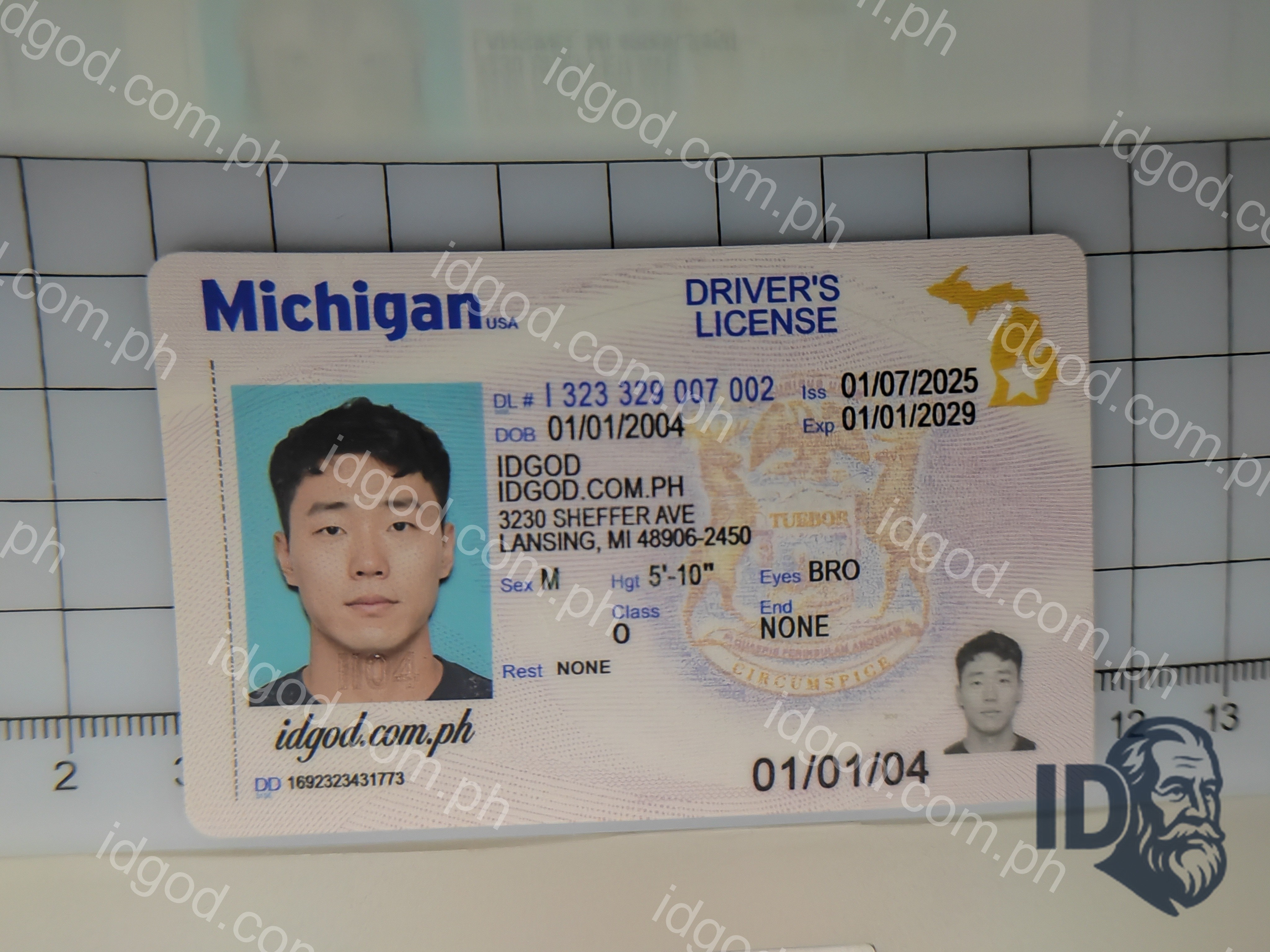 Michigan Fake ID