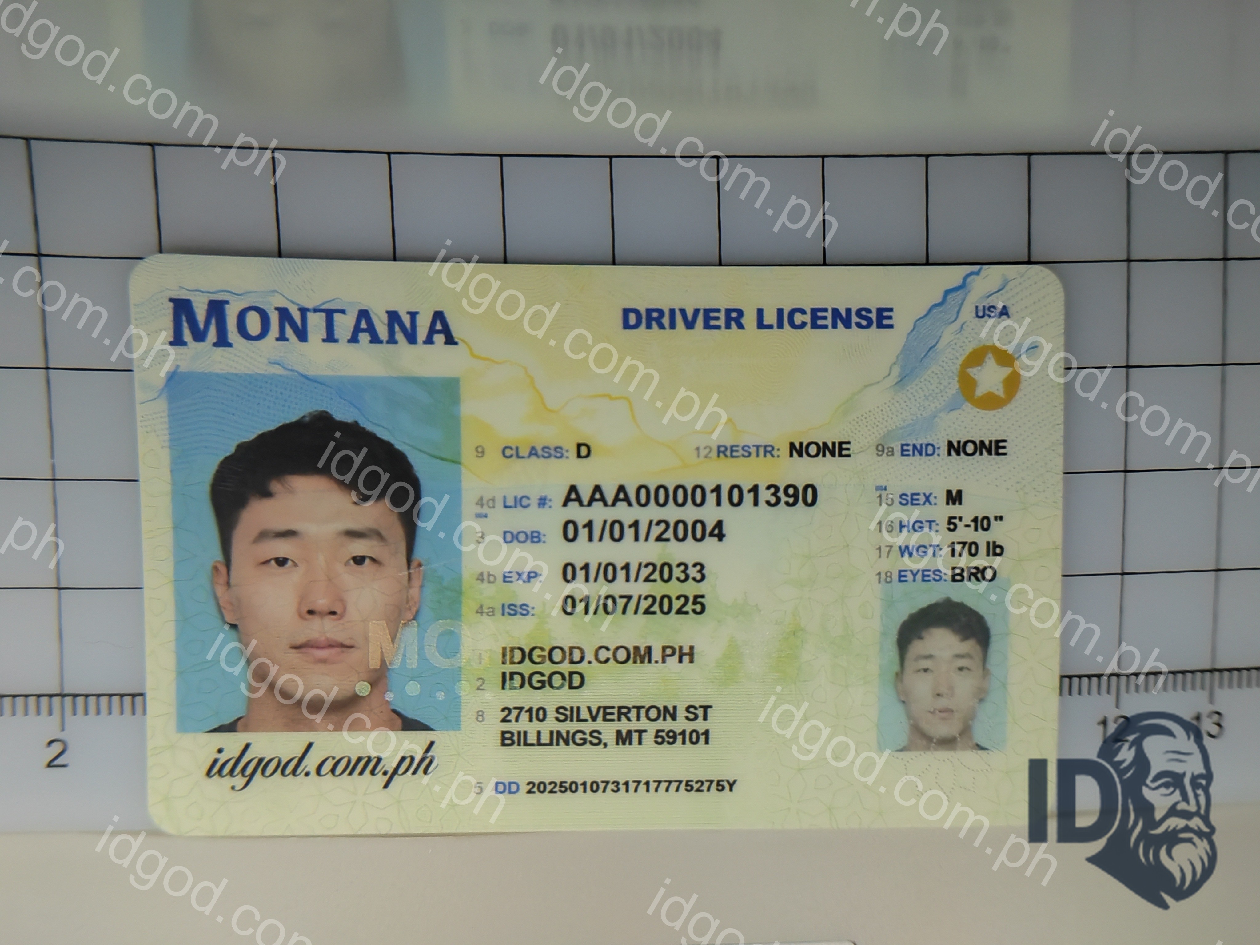 Montana Fake ID