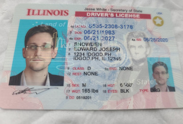 Premium Illinois Fake IDs with Holograms & UV Security