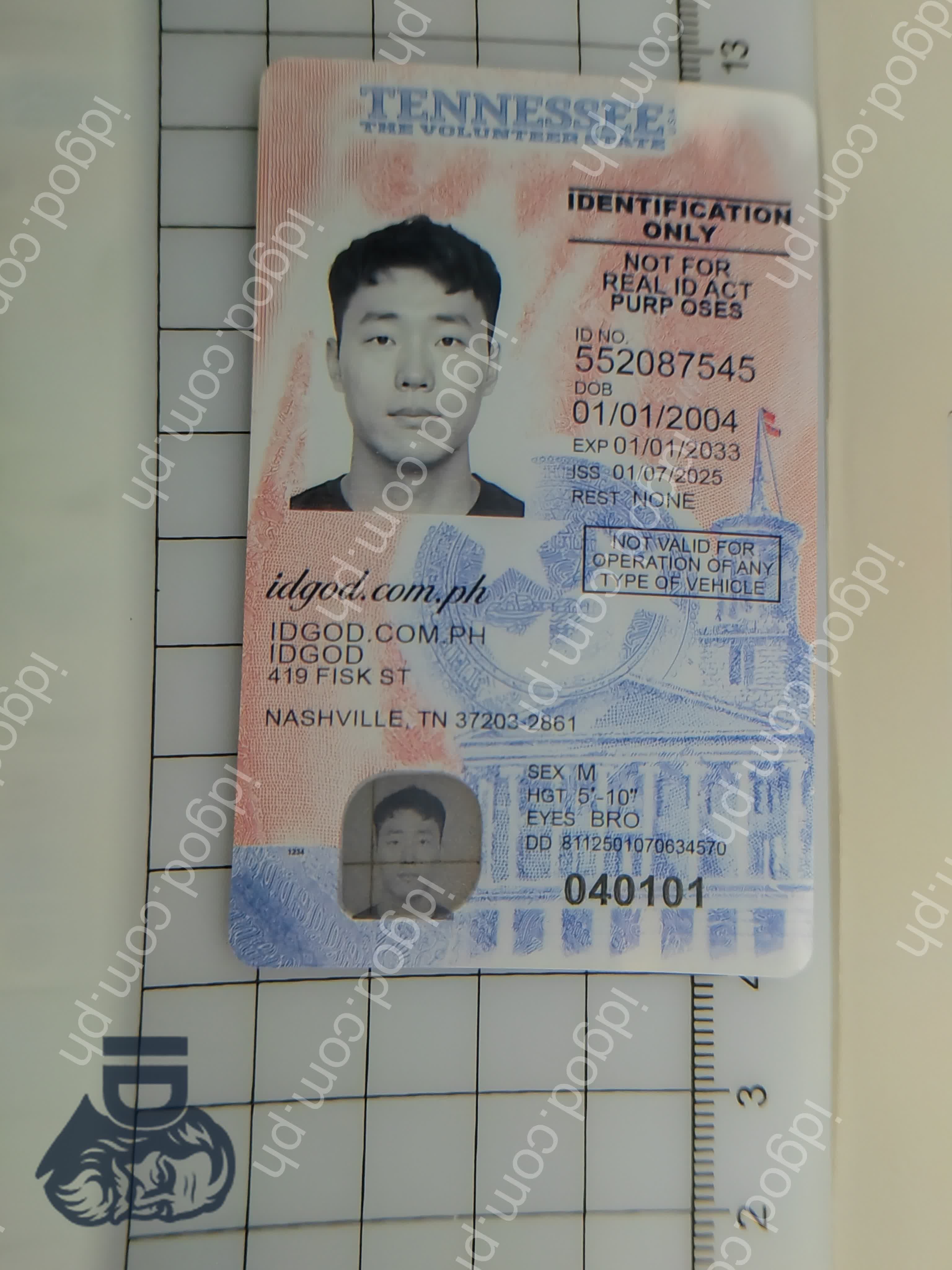 Tennessee Identification Card Only Fake ID