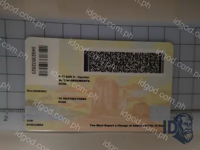 Back view of IDGod Arizona Fake ID