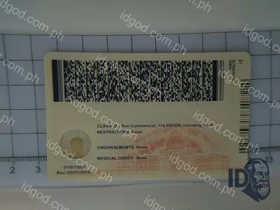 Back view of IDGod Arkansas Fake ID