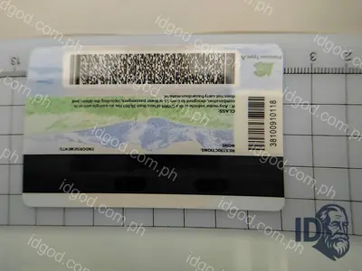 Back view of IDGod Colorado Fake ID