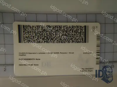 Back view of IDGod Delaware Fake ID