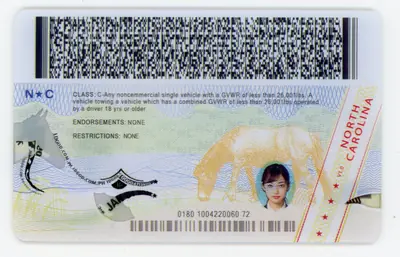 Back view of IDGod North Carolina Fake ID
