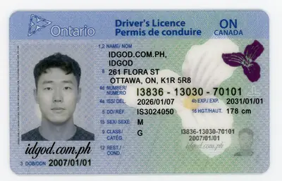 Ontario Fake ID | Premium Scannable Ontario Driver's Licence ID God