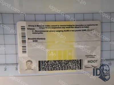 Back view of IDGod Maryland Fake ID Fake ID