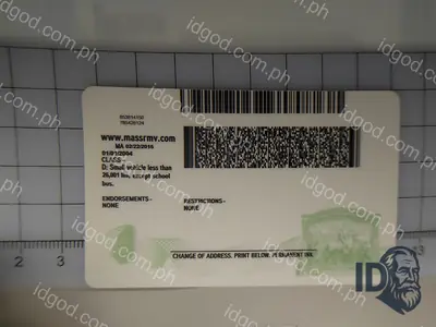 Back view of IDGod Massachusetts Polycarbonate - Official State Material Fake ID Fake ID