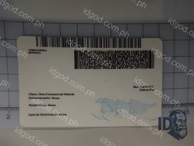 Back view of IDGod Montana Polycarbonate Fake ID