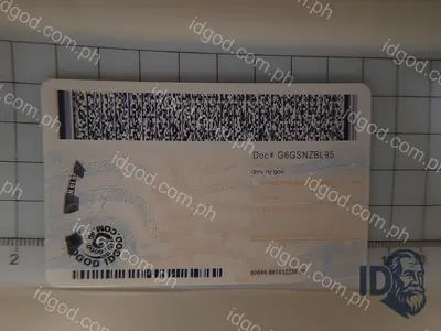 Back view of IDGod New York Fake ID