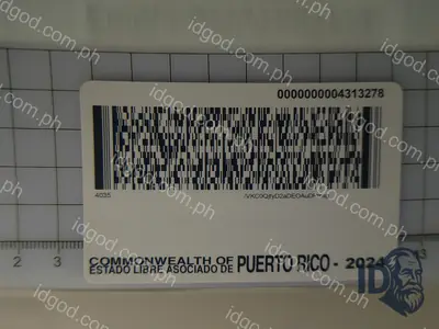 Back view of IDGod Puerto Rico Fake ID Fake ID