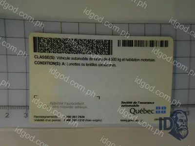 Back view of IDGod Quebec Canada Fake ID