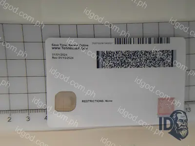 Back view of IDGod Tennessee Identification Card Only Fake ID