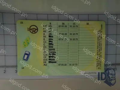 Back view of IDGod United Kingdom - Provisional Driver License Fake ID