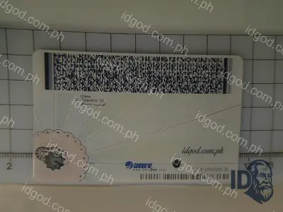 Back view of IDGod Virginia Fake ID