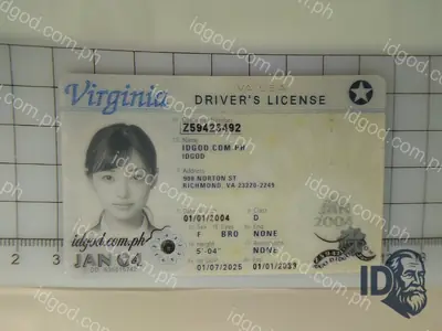 Virginia Fake ID | Premium Replica with Scannable Security ID God