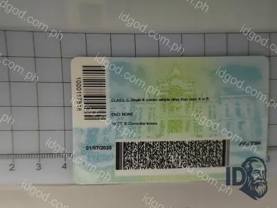 Back view of IDGod Wyoming Fake ID