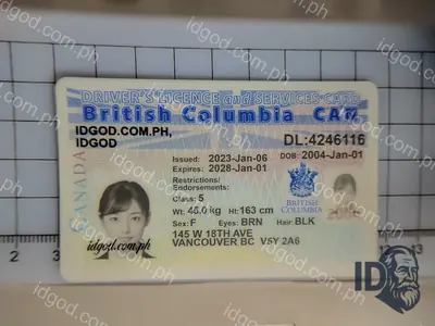 Front view of IDGod British Columbia Canada Fake ID Fake ID