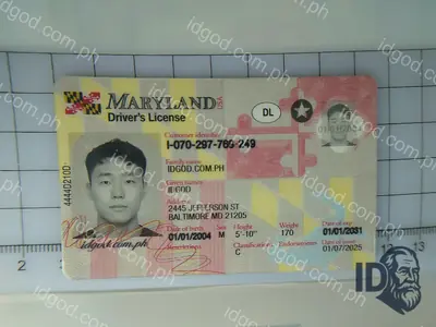 Front view of IDGod Maryland Fake ID Fake ID