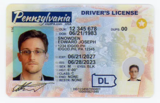 Premium Pennsylvania Fake IDs with Holograms & UV Security