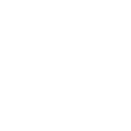 IDG logo
